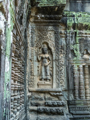 Kambodscha - Angkor - Ta Prohm