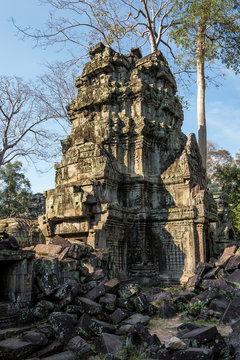 Kambodscha - Angkor - Ta Prohm