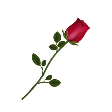 Single Rose Clip Art Images – Browse 5,798 Stock Photos, Vectors, and Video  | Adobe Stock