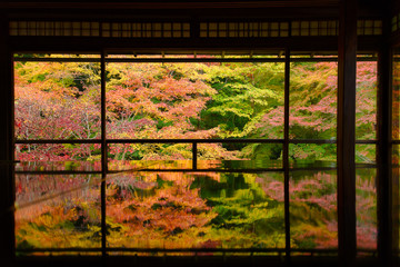 晩秋の瑠璃光院
