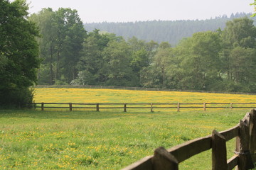 Landschaft