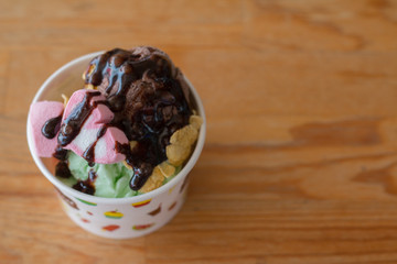 Homemade Organic Vanilla and Chocolate Ice Cream on wooden table
