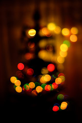 A colored bokeh in the background blurs a Christmas tree