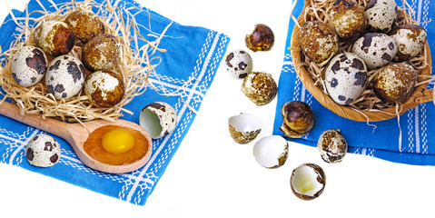 fresh quail eggs close up
