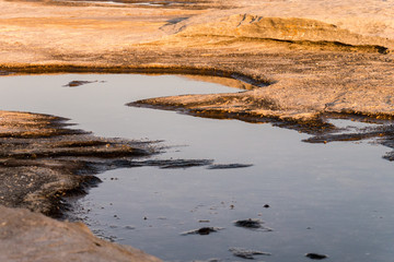 Kleine Pfützen in den Gesteinsformationen - Bondi Beach