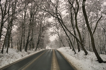 Obraz premium Morning frosty alley road during winter, difficult condition for driving, high risk of crash