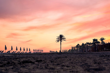 Beach mackenzie in the Larnaca city. Sea view, umbrellas and sunbeds on sunset. Makenzy, Cyprus