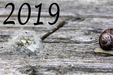 Das Jahr 2018 ist vorüber, es beginnt 2019. Zwei Schnecken mit dem Jahreswechsel