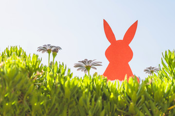Creative easter concept photo of red paper rabbit in the chamomile flowers and green grass on the blue sky background. Concept