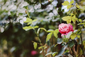 Processed with VSCO with 10 preset