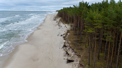 morze plaża drzewa woda