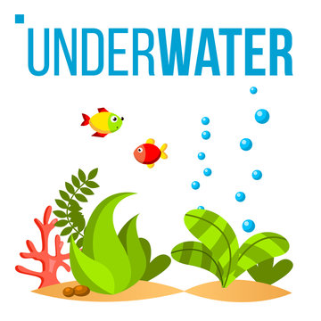Underwater World Vector. Bottom, Fish, Seaweed, Bubbles. Isolated Flat Cartoon Illustration