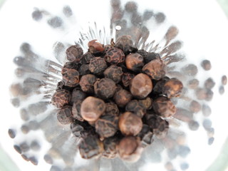 Black Pepper Style Pattern Background