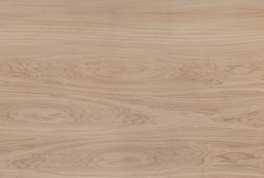 Fototapeta Oak veneer, natural wood pattern.