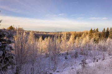 winter in Sweden with snow and sun