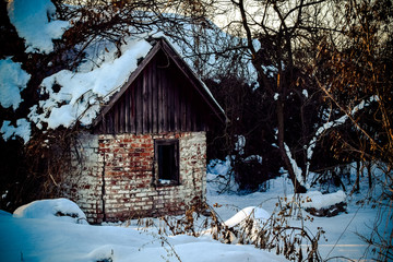 Winter garden and abandoned old brick building