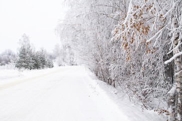 road in winter forest with birch trees