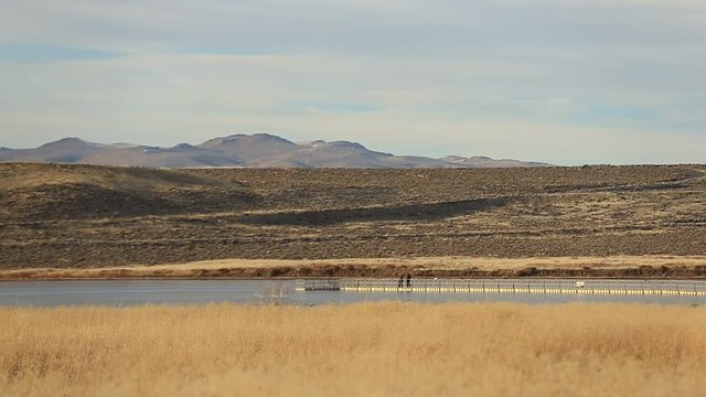 Bird Watchers Walking on Pier in Wetlands Park near Reno Nevada