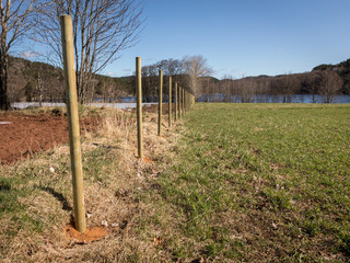 Obraz premium New wooden fence posts on a field. Landscape and blue sky in the background.