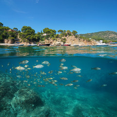 Spain boats near rocky coast and fish underwater