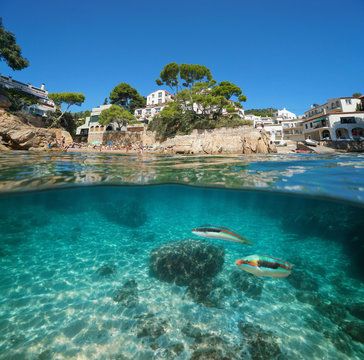 Spain coastline village and fish underwater sea