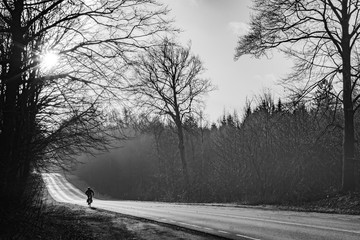 Lonesome biker on his way through the woods on a windy winters day