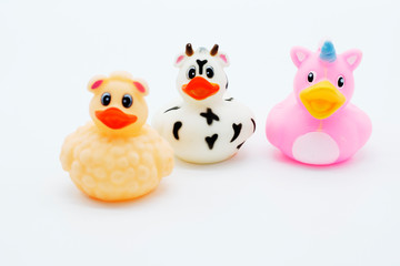 Three rubber ducks isolated on a white background