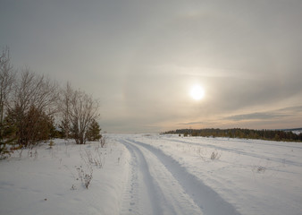 Obraz na płótnie Canvas Winter landscape with a halo effect over a snowy field