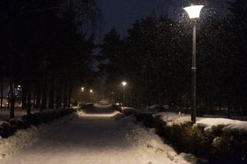 Park alley with falling snow at night.