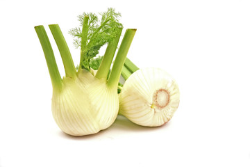 Fresh Florence fennel bulbs or Fennel bulb on white background..Healthy and benefits of Florence fennel bulbs.