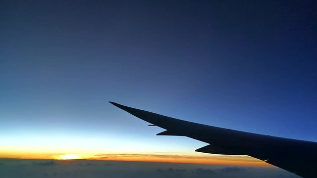 飛行機の翼