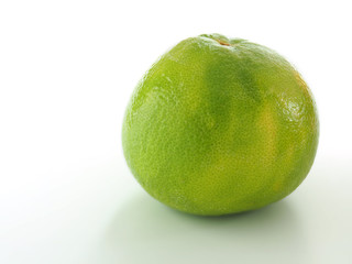 Green grapefruit on a white background