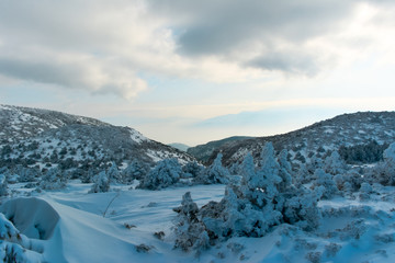 Snowy trees and mountains. blue sky and clouds.