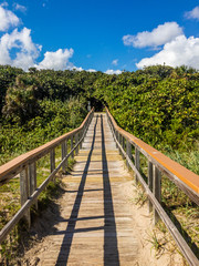 The wooden pathway over the dunes to the beach