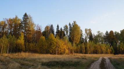 autumn in the park