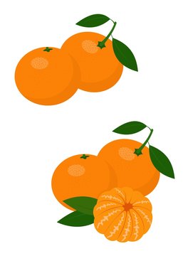 Mandarines, tangerine, clementine with leaves isolated on white background. Citrus fruit. Vector Illustration