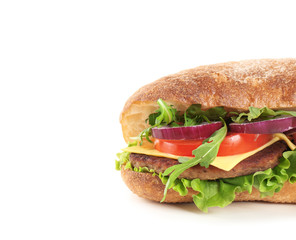 Yummy sandwich with cheese on white background. Space for text