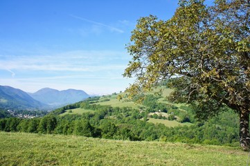 Fototapeta na wymiar Saint Martin d'Uriage, panorama, Isère