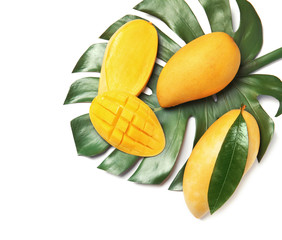 Composition with fresh mango fruits on white background, top view