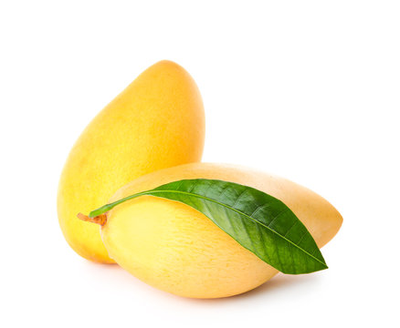 Fresh ripe mango fruits isolated on white