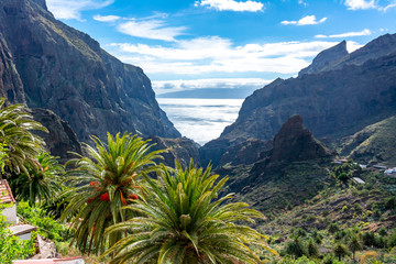 Masca canyon, Tenerife, Canary islands, Spain