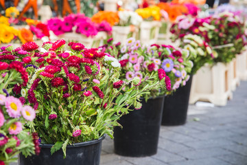 Fototapeta na wymiar Flowers in a market of Provence, France