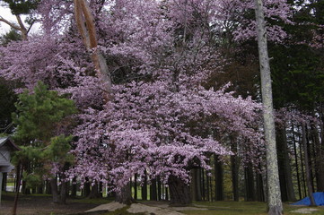 網走神社