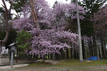 網走神社