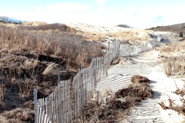 Sand Dune Simplicity