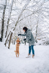 Fototapeta na wymiar Woman with a dog on a snow