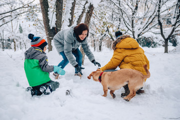 Family with a dog playing in the snow