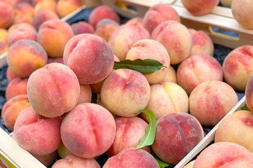 Pile of peaches (close up view, selective focus)