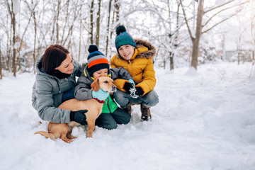 Fototapeta na wymiar Family with dog playing in the snow