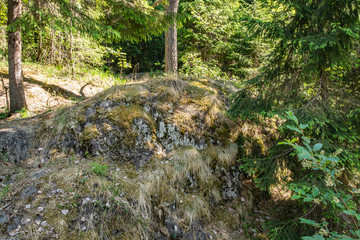 Foamy streams of water Tahmayoki River on the waterfall Ahinkoski
